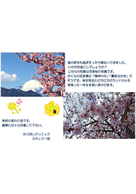 3月 河津桜と富士