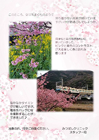 3月 桜