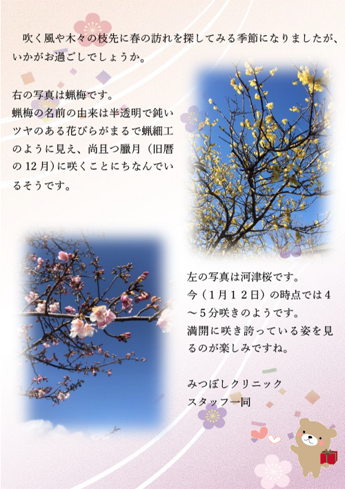 梅と桜