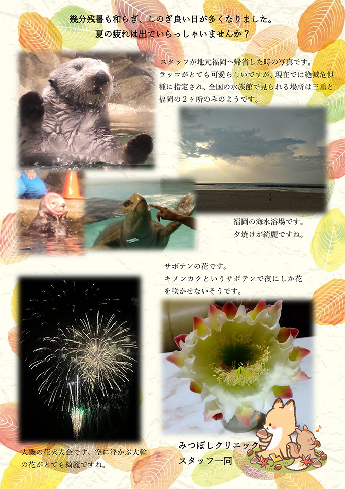 福岡旅行と2種の花
